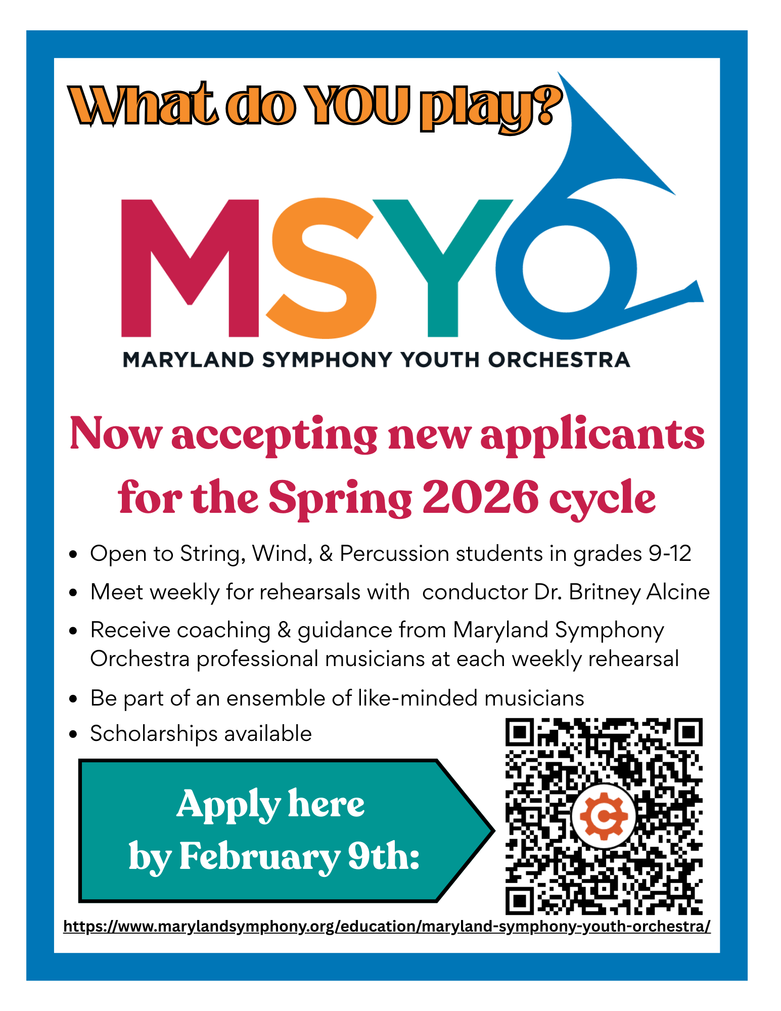 Youth Orchestra Auditions