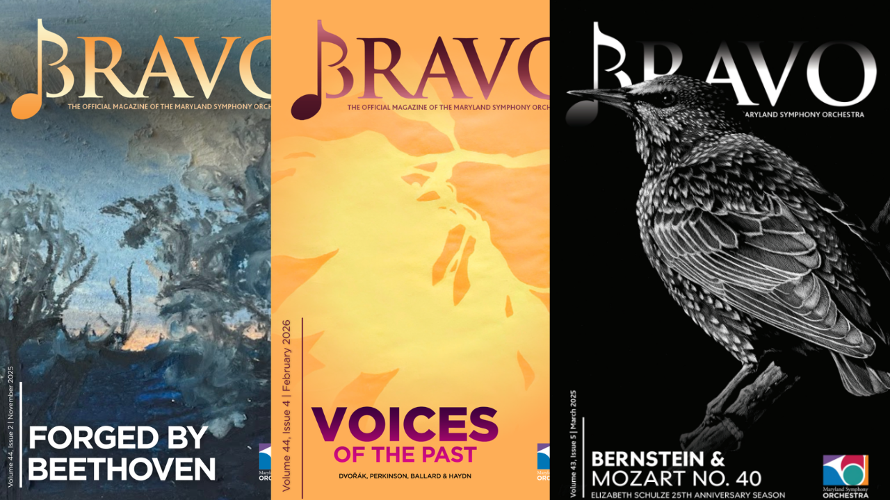 Call for Artists: Bravo Cover Art